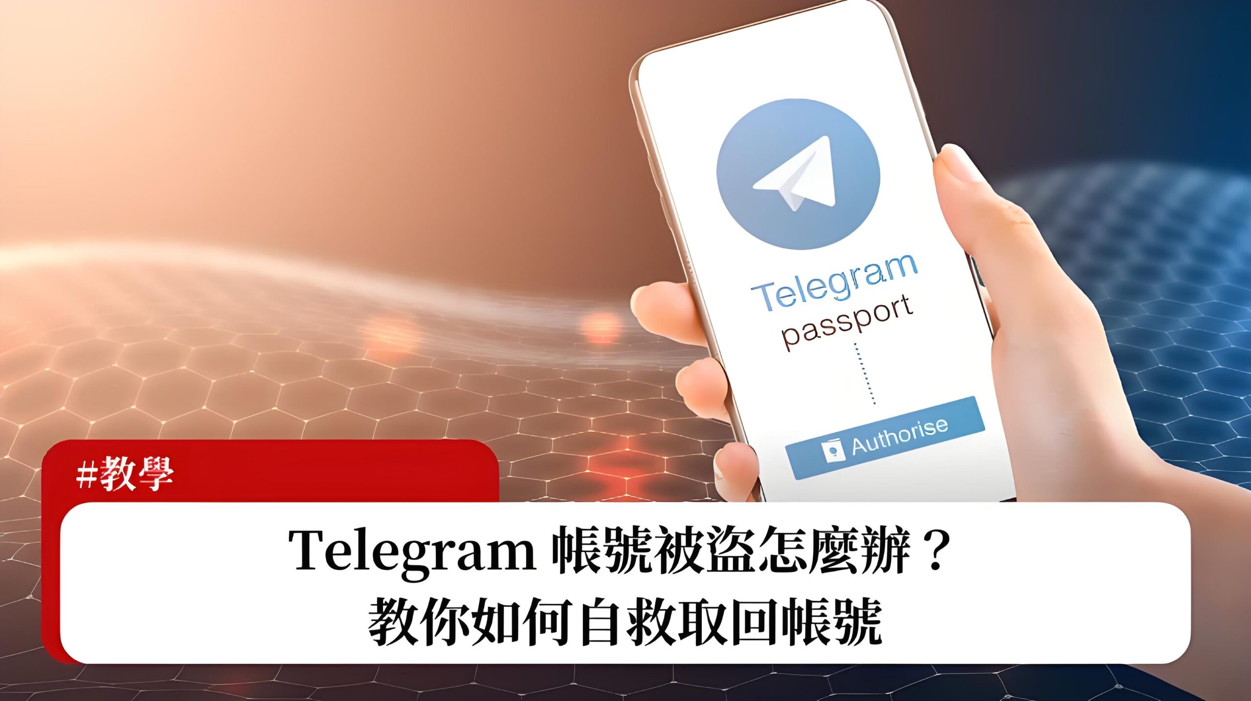电报被盗如何快速找回账号?-电报中文官网 - 纸飞机中文资讯网